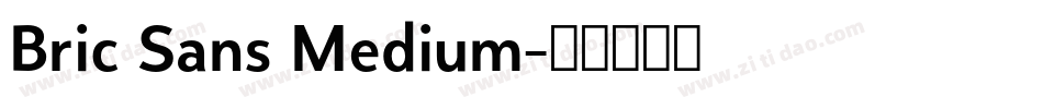 Bric Sans Medium字体转换